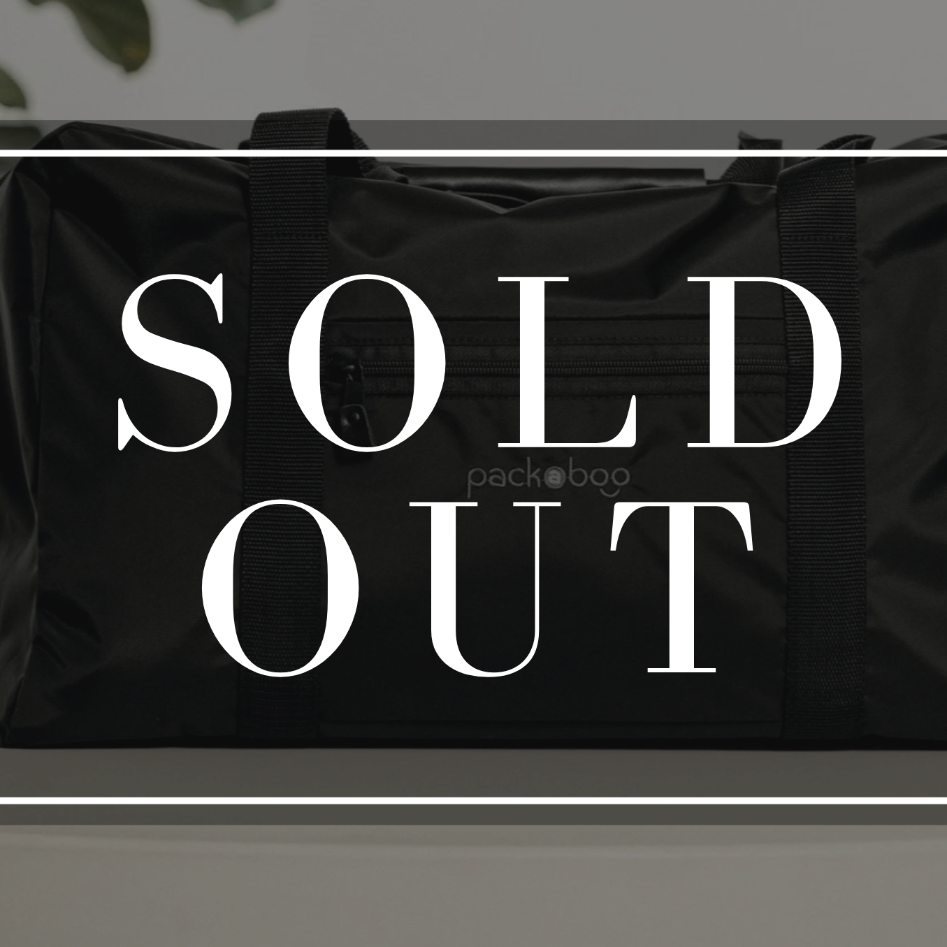 Packaboo Baby Travel Bag (SOLD OUT)